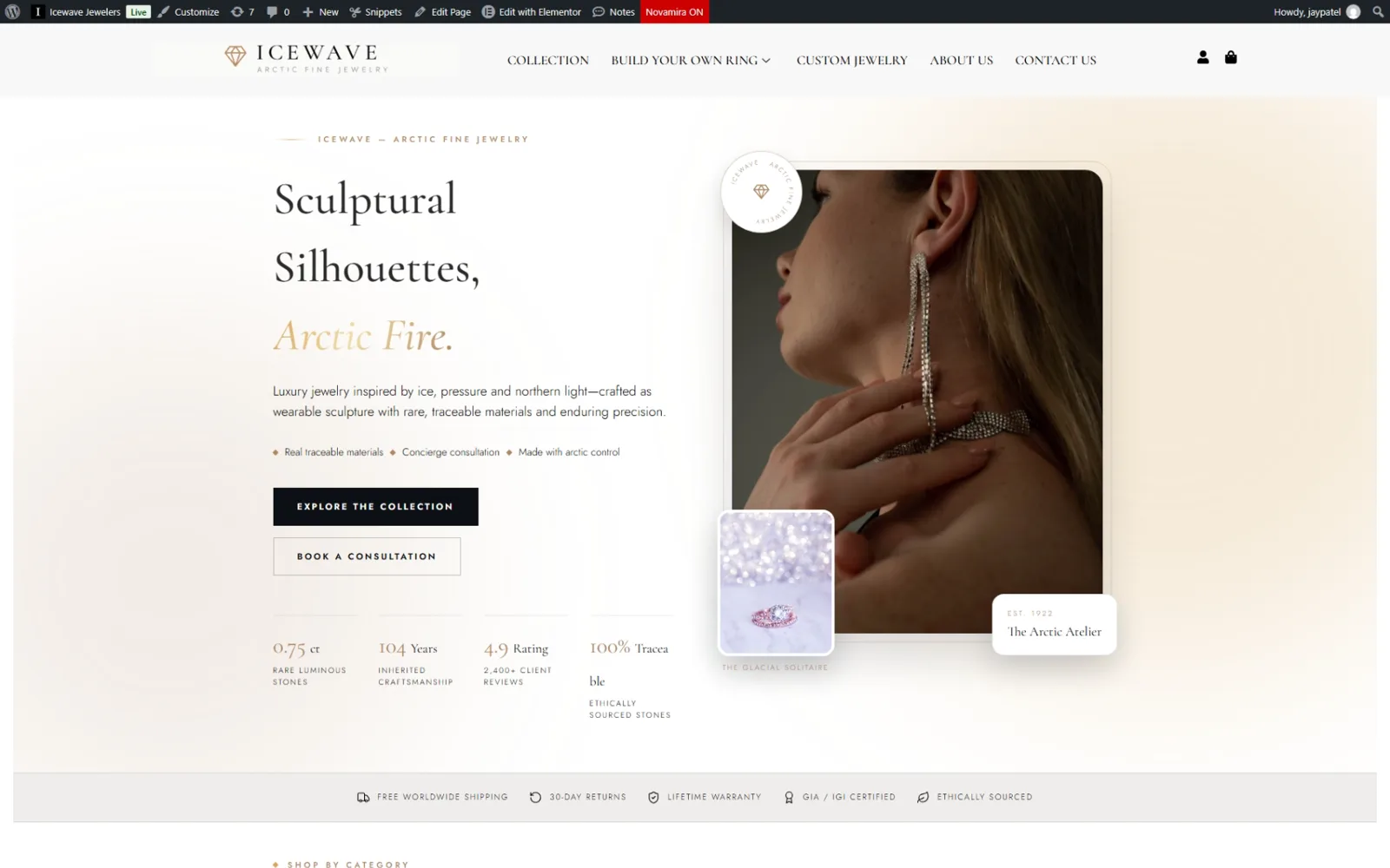 IceWave website in progress